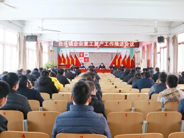 防控疫情為前提 全力以赴抓復工 —臺頭鎮召開復工復產工作推進會議